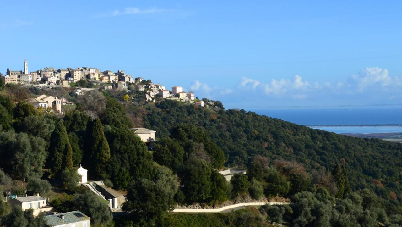 Au Coeur Du Village De Lucciana Lucciana  Ngoại thất bức ảnh